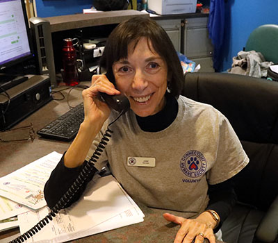 Volunteer Opening Desk crop