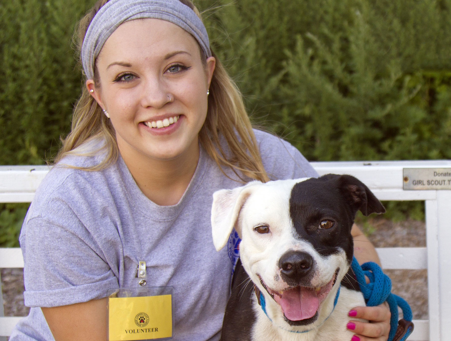 Volunteer connecticut humane society