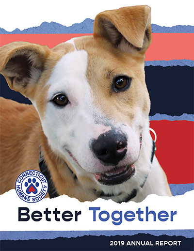 2019 annual report