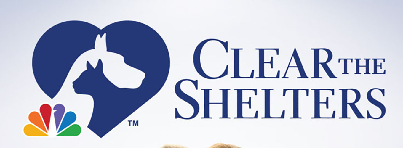 Clear the Shelters Connecticut Humane Society