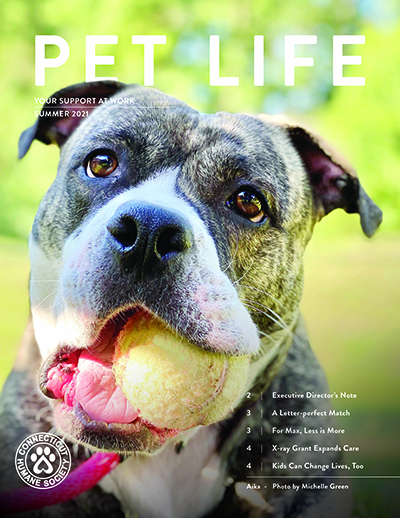 2021 summer petlife