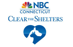 2019 Clear the Shelters homepage