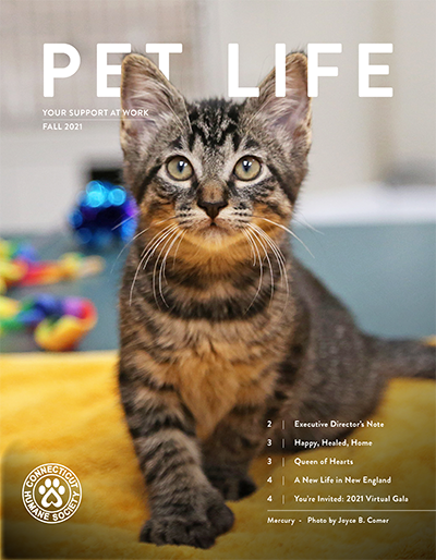 2021 fall newsletter cover