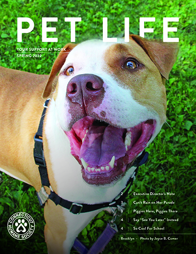 2022 spring petlife