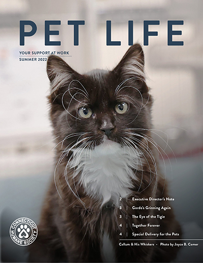 2022 summer petlife