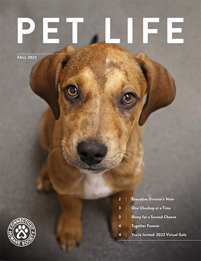 CHS Publications – Connecticut Humane Society