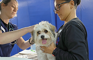 Waterbury wellness homepage