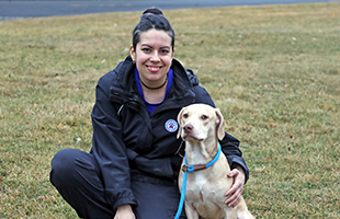 Dog Parks homepage