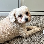 Baby A0052594021