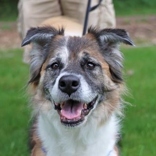 Chloe A54029781