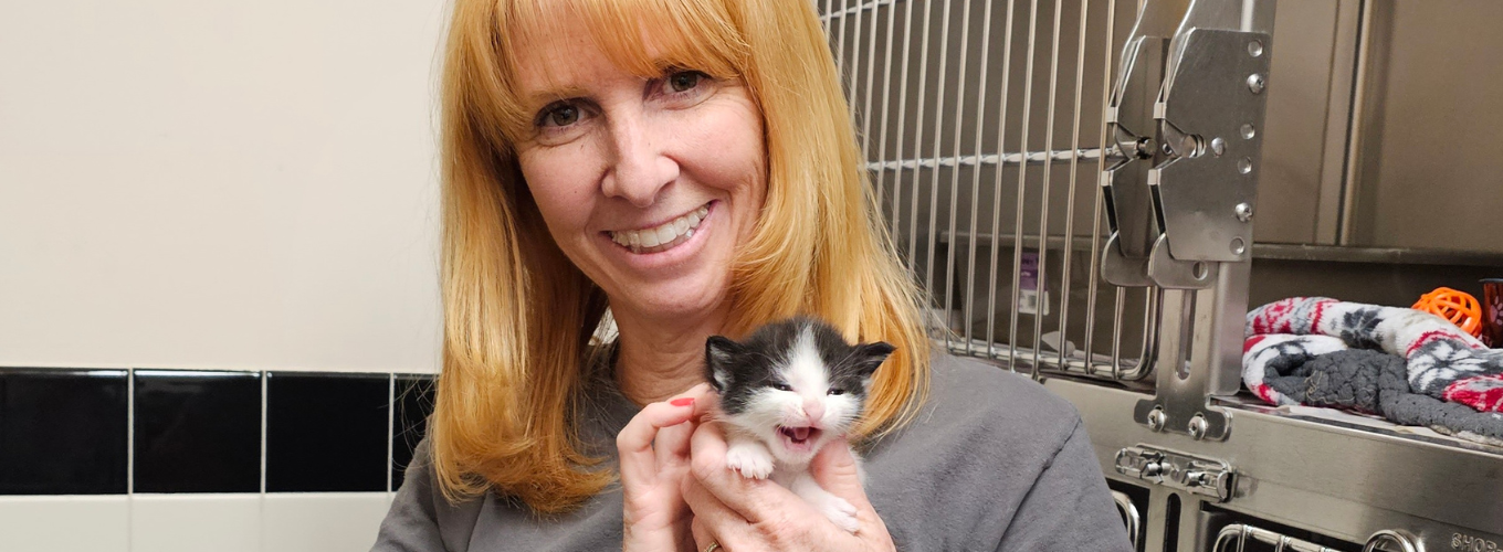 Dawn Volunteer Spotlight Website Edit (2)