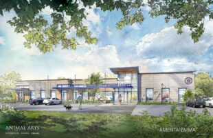 Wilton Rendering (1)