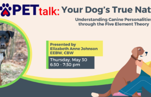 Outreach_PETtalk Know Your Dog’s True Nature - Understanding Canine Personalities through the Five Element Theory (3)