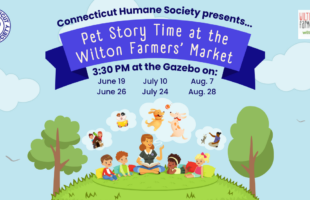 Pet Story Time Social Graphic June - August (1)