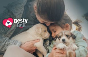 BestyBnb Homepage Banner