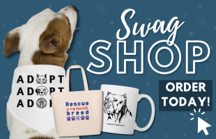 December Swag Shop Website Promo