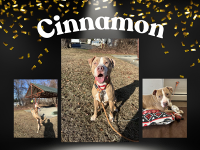 Cinnamon