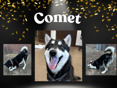 Comet