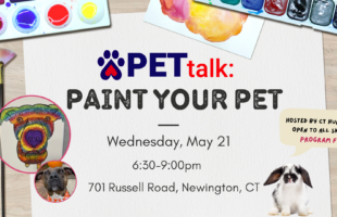 May Paint Your Pet