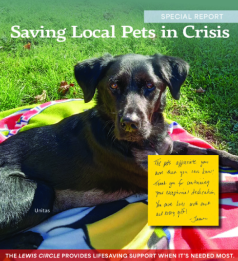 Saving Local Pets in Crisis - Thumbnail