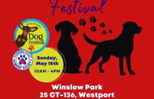 Westport Dog Festival (1)