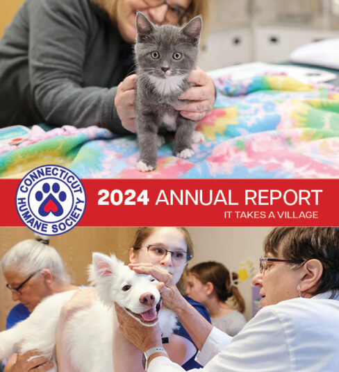 20 page annual report 2024 cover 20 page annual report 2024 cover