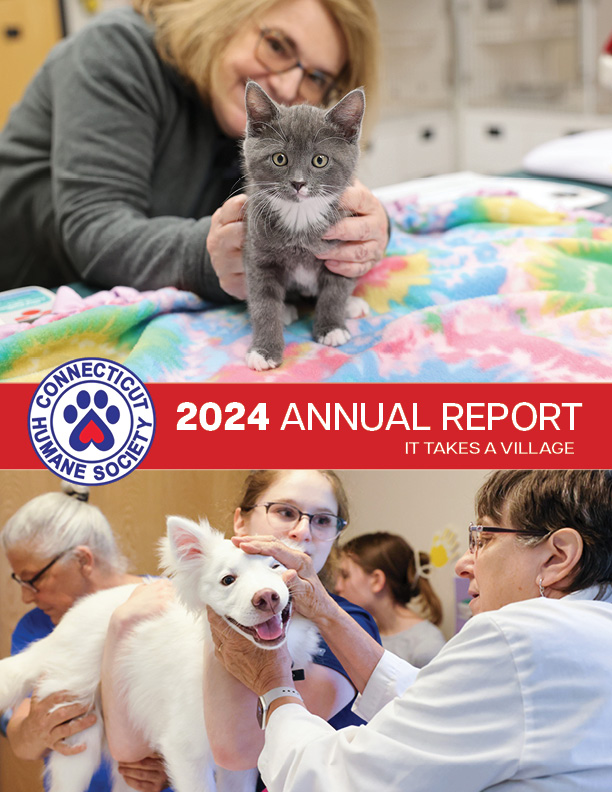 20 page annual report 2024 cover