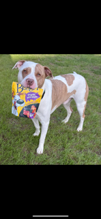 Castiel holds his treats Castiel holds his treats