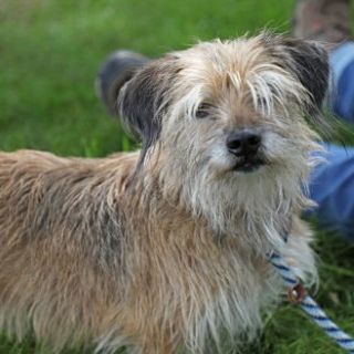 Chloe A58536174