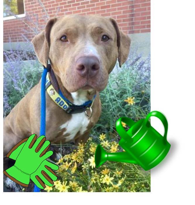 Gardening