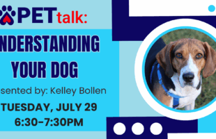 PETtalk Understanding Your Dog2025