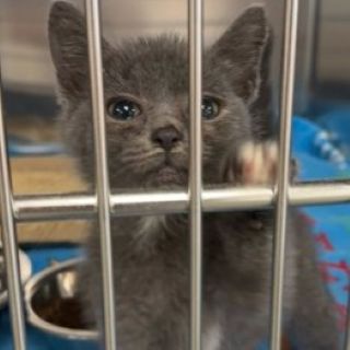 sandals a58678736