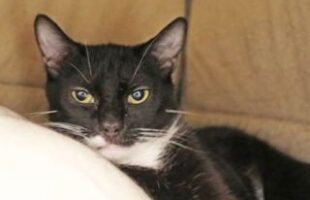 Carly A58649353