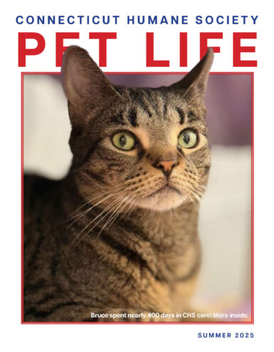 PET LIFE Newsletter Summer 25_Page_1