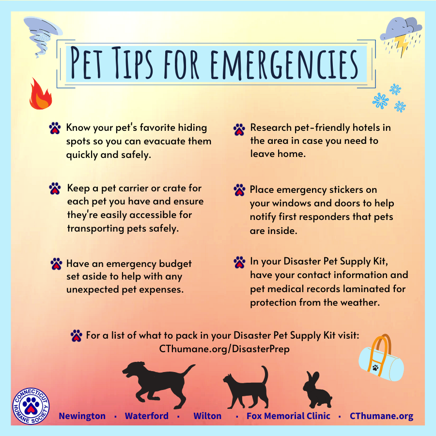 Pet Emergency Tips - Revised 2025
