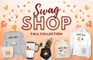 Fall 2025 Swag Shop Website Promo