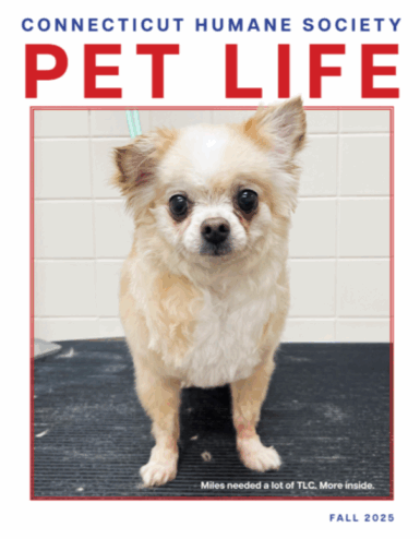 Fall 25 PetLife