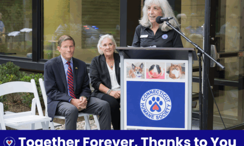September 2025 - CC ENews Header