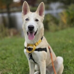 Barney A59333778