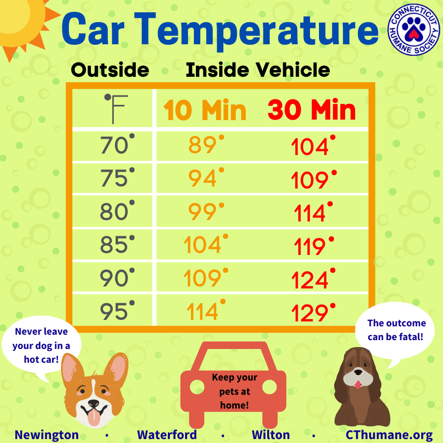 Car Temp - Updated 10.2025