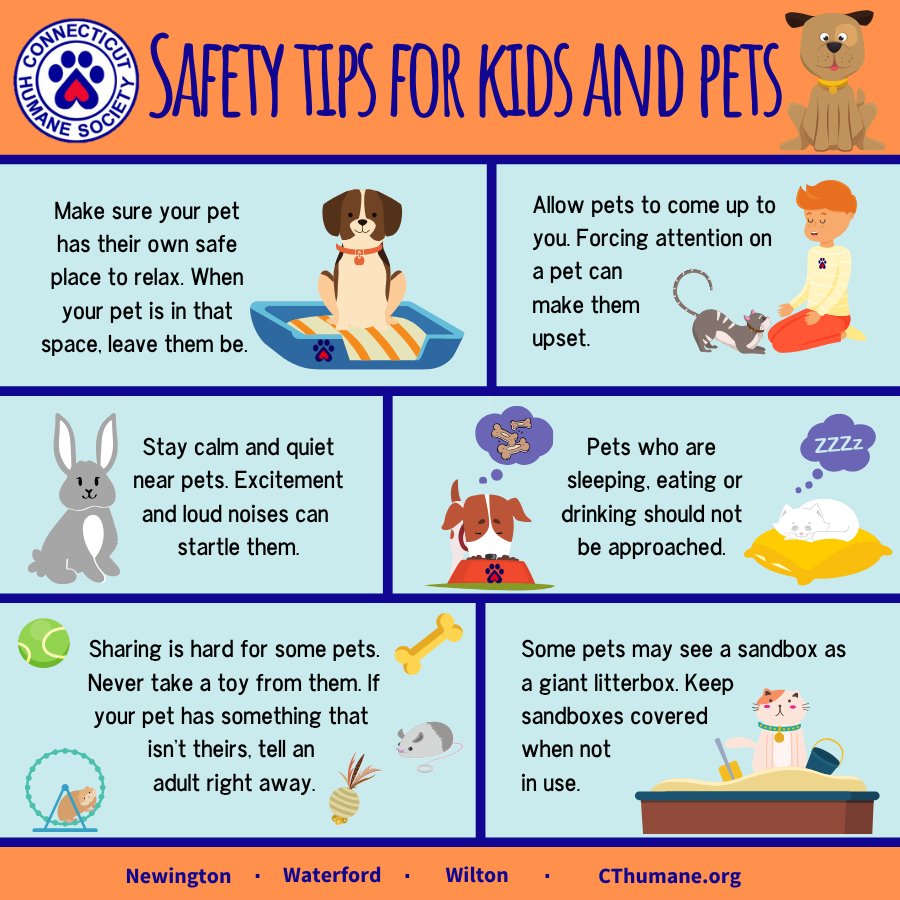 Keeping Pets and Kids Safe - Updated 10.2025 (2)