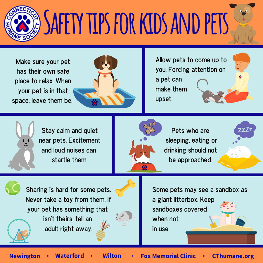 Keeping Pets and Kids Safe - Updated 10.2025