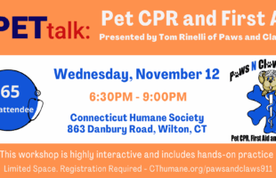 November PETtalk Pet CPR