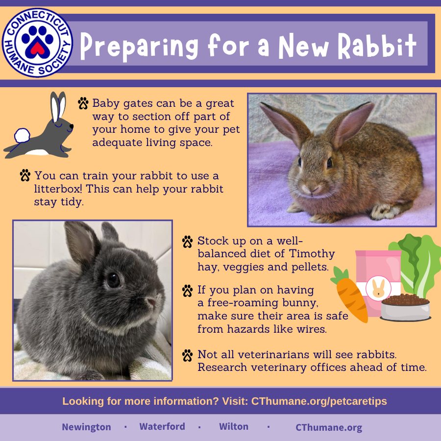Prep for Rabbit - Updated 10.2025 (2)