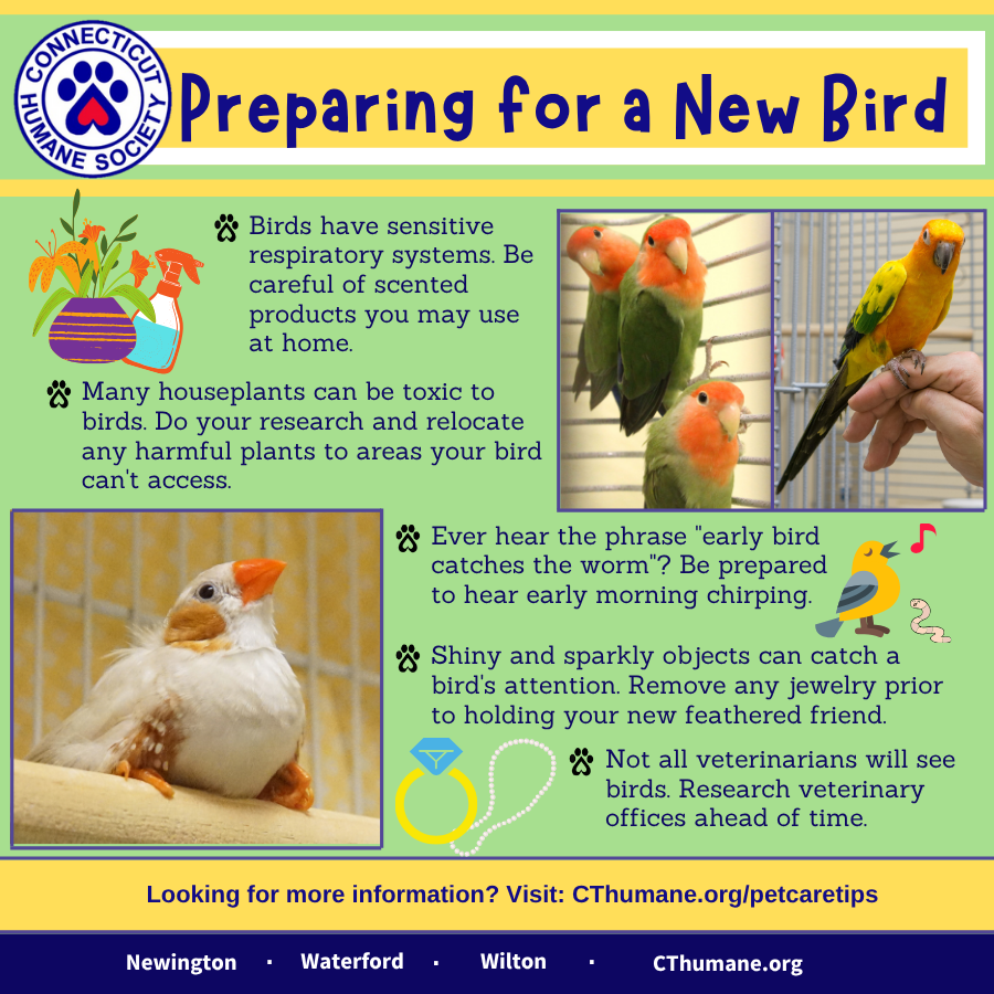 Prep for bird - Updated 10.2025 (2)