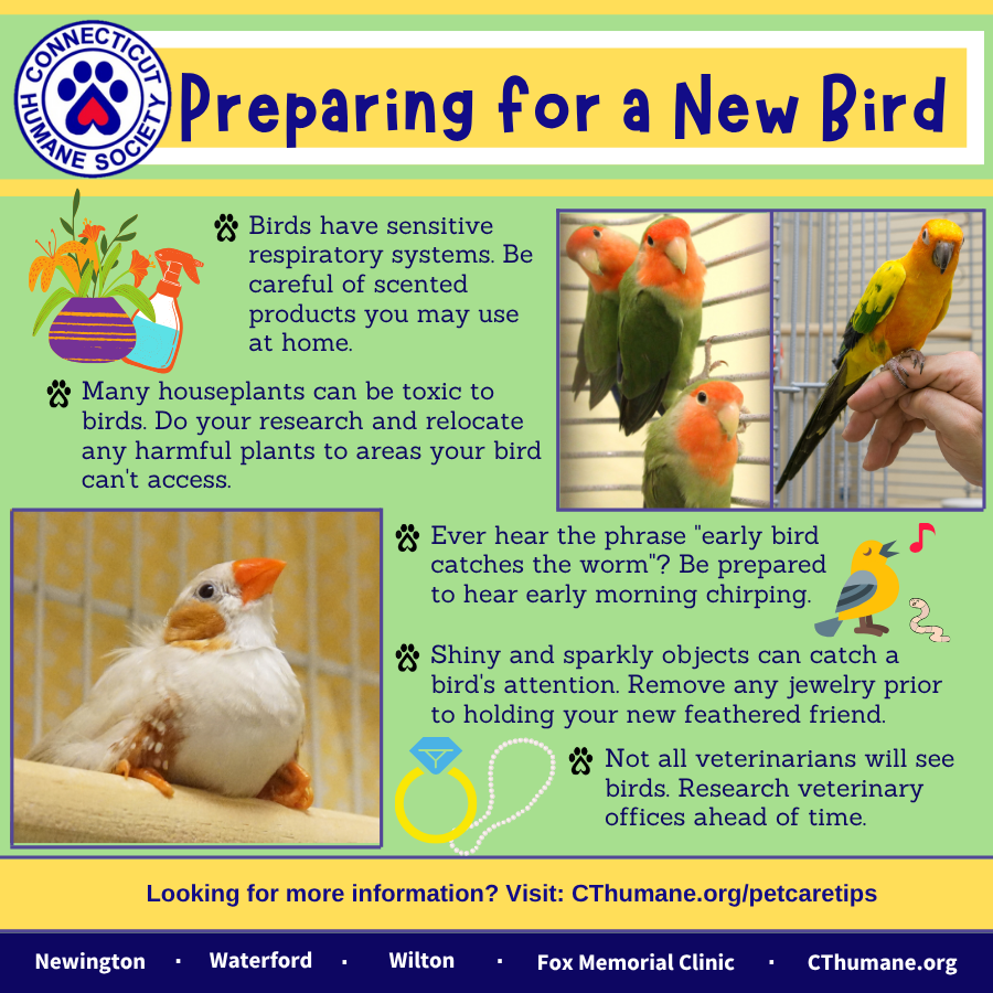 Prep for bird - Updated 10.2025