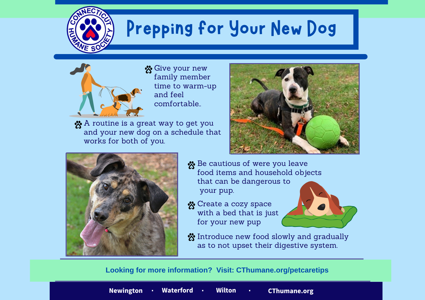 Prepping for a Dog - Updated 10.2025 (1360 x 960 px) (2) Prepping for a Dog - Updated 10.2025 (1360 x 960 px) (2)