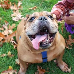 Tinkerbell a59613702