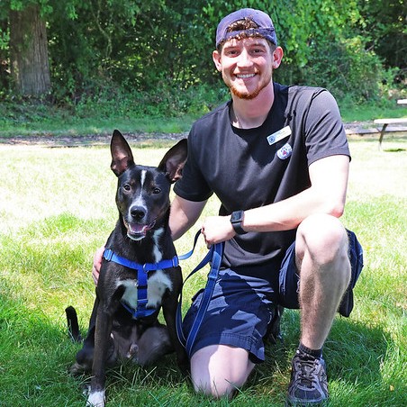 54717050369_16962c2490_c