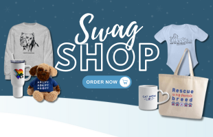 Swag Shop - January ThumbnailNewsletter